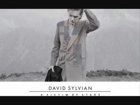 Profilový obrázek - David Sylvian - Where's Your Gravity
