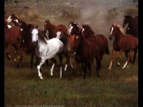 Profilový obrázek - Debated - Wild Horses (Piano Acoustic Rolling Stones Cover)