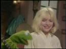 Profilový obrázek - Debbie Harry & Kermit the Frog - The Rainbow Connection