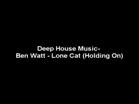 Profilový obrázek - Deep House Music- Ben Watt - Lone Cat Holding On