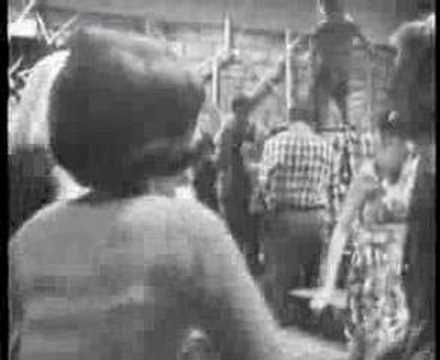 Profilový obrázek - Del Shannon - Runaway