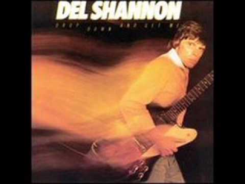 Profilový obrázek - Del Shannon - Sea of Love