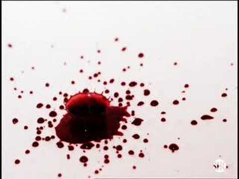 Profilový obrázek - Dexter: Pig's Blood Music Video