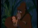 Profilový obrázek - Disney-Tarzan-You'll be in my heart-multilanguage 1