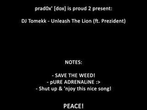 Profilový obrázek - DJ Tomekk - Unleash The Lion (feat. Prezident)