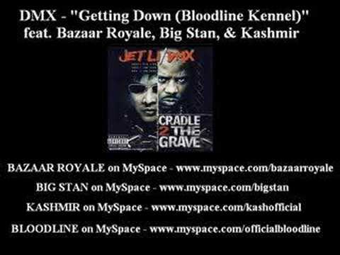 Profilový obrázek - DMX - Getting Down (Bloodline Kennel)