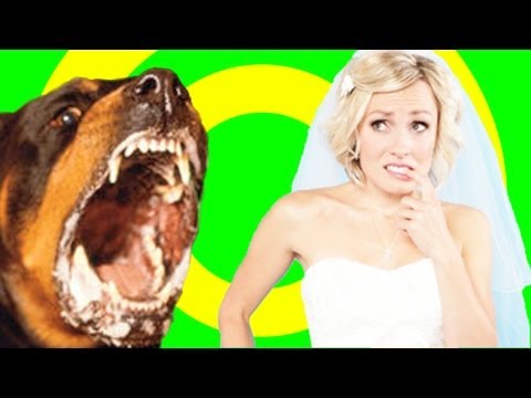 Profilový obrázek - DOG ATTACKS BRIDE!
