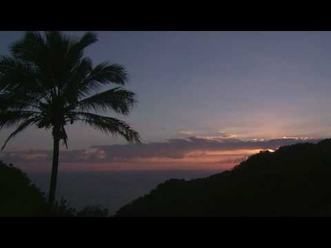 Profilový obrázek - Don Ho - Sweet Lelani & Blue Hawaii (HD)