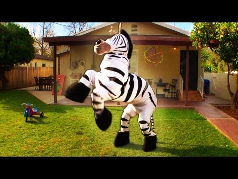 Profilový obrázek - Dope Zebra