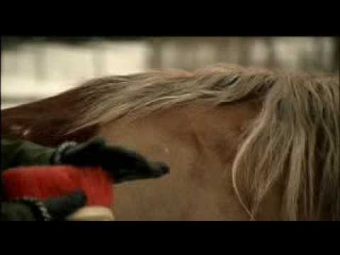 Profilový obrázek - Eicca se svým koněm