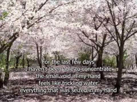 Profilový obrázek - Epik High- Fallen Blossoms *English subs* audio 낙화