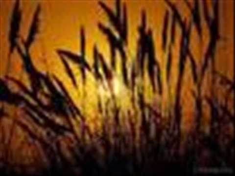 Profilový obrázek - Eva Cassidy - Fields Of Gold  Lyrics