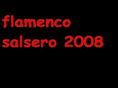 Profilový obrázek - flamenco remix 2008  SON GABARRE