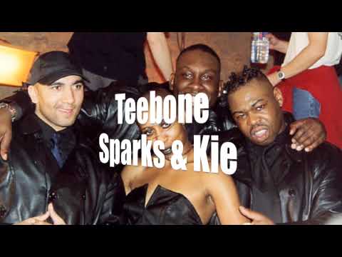 Profilový obrázek - Fly Bi - Teebone Feat: Mc Sparks & Mc Kie