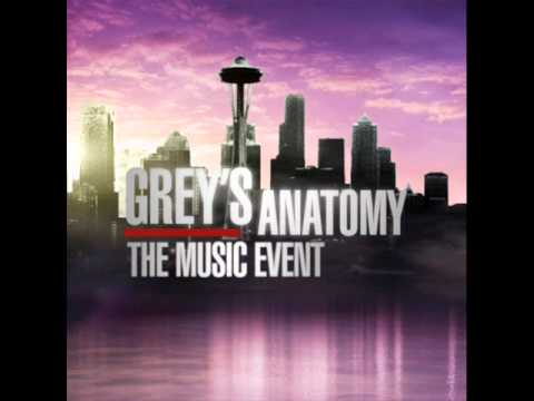Profilový obrázek - Grey's Anatomy Music Event - The Story