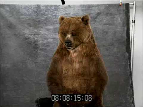 Profilový obrázek - Grizzly Bear Suit