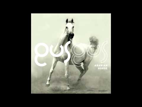 Profilový obrázek - Gus Gus - Within You