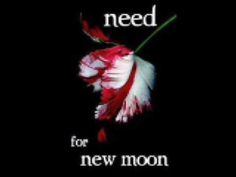 Profilový obrázek - Hana Pestle - Need (Need for New Moon) + lyrics