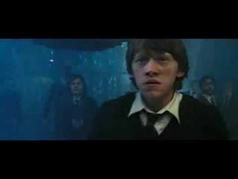 Profilový obrázek - Harry Potter a Fénixův řád (2007)