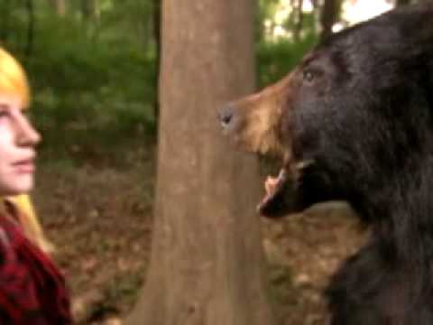 Profilový obrázek - Hayley & Bear: Staring Contest