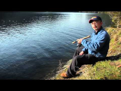 Profilový obrázek - How to fish: Spinner fishing