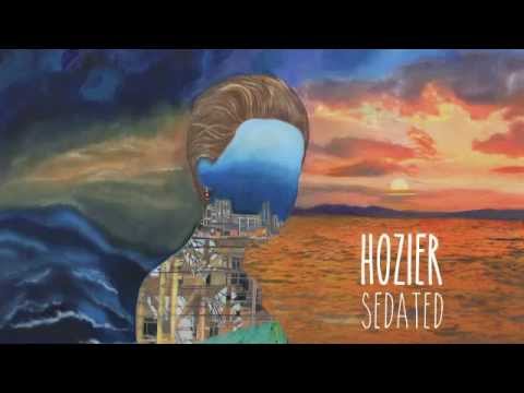 Profilový obrázek - Hozier - Sedated