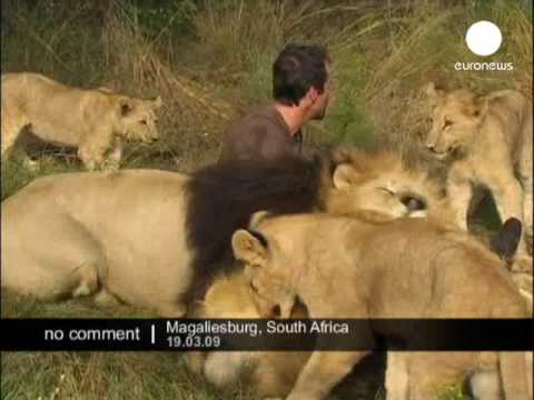Profilový obrázek - Hugs with Lions