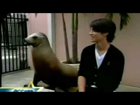 Profilový obrázek - Joe Jonas gets scared by a seal. [HD]