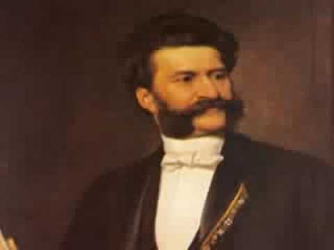 Profilový obrázek - Johann Strauss II - The Blue Danube Waltz