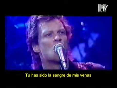 Profilový obrázek - Jon Bon Jovi - Every word was a piece of my heart subtitulos