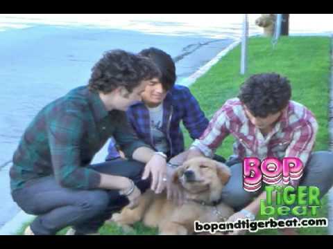 Profilový obrázek - Jonas Brothers and Elvis the dog!