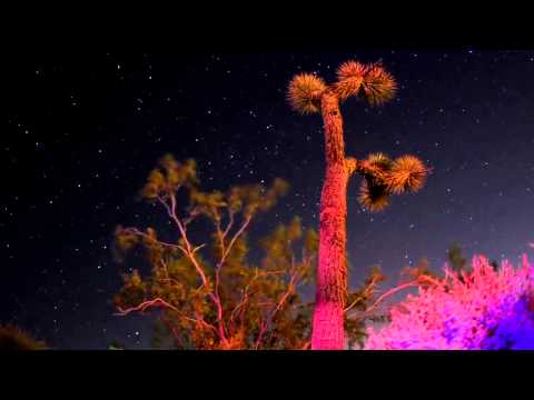 Profilový obrázek - Josh Homme - Desert Roll (From AB No Reservations)