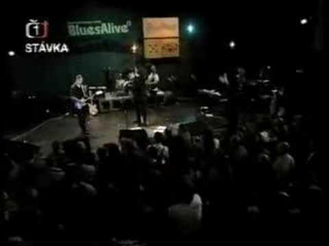 Profilový obrázek - Kava Kava's Pat Fulgoni at Sumperk Blues Alive Festival, Czech