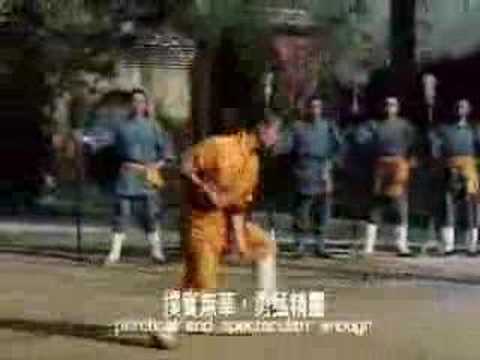 Profilový obrázek - kung fu form da hong quan by shi de yang