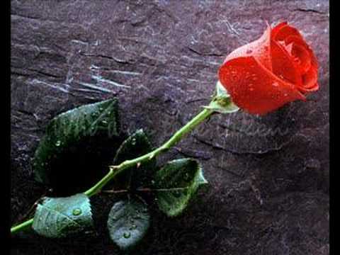 Profilový obrázek - LeAnn Rimes - Some Say Love/The Rose