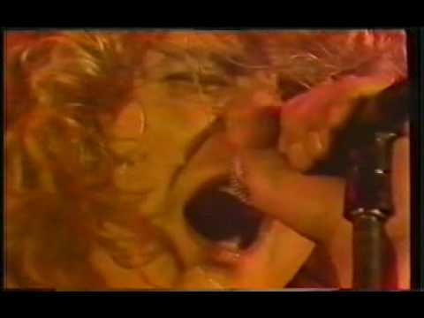 Profilový obrázek - Led Zeppelin Knebworth 1979 - Hot Dog