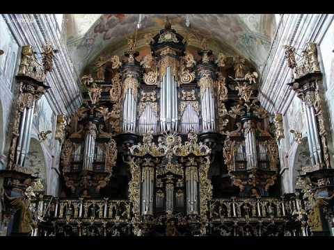Profilový obrázek - Leżajsk - XVII ct pipe organ - JS Bach, Toccata and Fugue in d minor, BWV 565