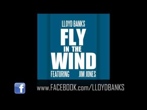Profilový obrázek - Lloyd Banks - Fly In The Wind feat Jim Jones