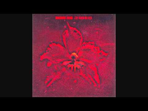 Profilový obrázek - Machine Head - The Blood, The Sweat, The Tears (Studio version)