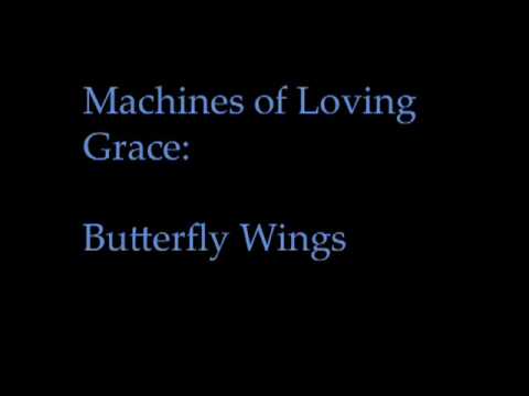 Profilový obrázek - Machines of Loving Grace -- Butterfly Wings