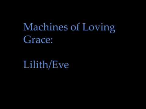 Profilový obrázek - Machines of Loving Grace -- Lilith/Eve