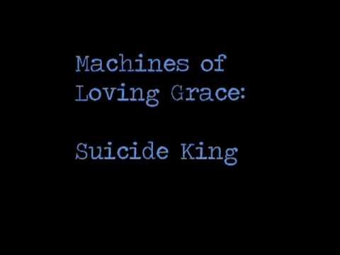 Profilový obrázek - Machines of Loving Grace -- Suicide King