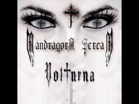 Profilový obrázek - Mandragora Scream - The Circus (from new album Volturna)
