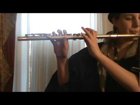 Profilový obrázek - Me Playing My Shiny Teeth and Me by Chip Skylark (Chris Kirkpatrick) on Flute
