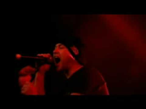 Profilový obrázek - Mesh - Petrified Live Video from We Collide DVD