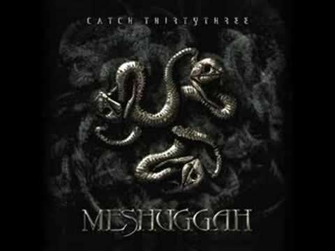 Profilový obrázek - Meshuggah - Mind's Mirrors / In Death Is Death