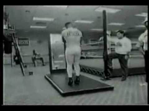 Profilový obrázek - Mike Tyson training and knockouts