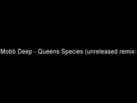 Profilový obrázek - Mobb Deep - Queens Species (unreleased remix)