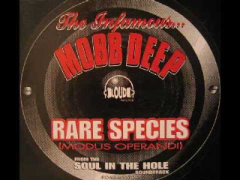 Profilový obrázek - Mobb Deep - Rare Species