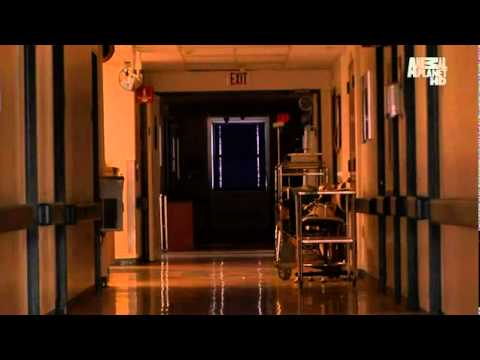 Profilový obrázek - Monsters Inside Me s02e04: Lurkers ¦ 360p [1/3]